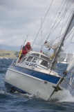 cantatta ii 203 whyw18 mon gjmc 6638w